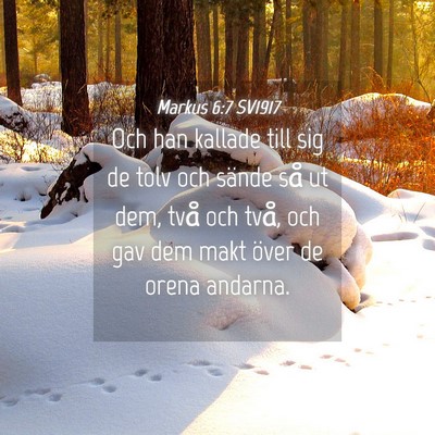 Picture 04 - Markus 6:7 SV1917 - Och han kallade till sig de tolv och sände så - Bible Verse Picture