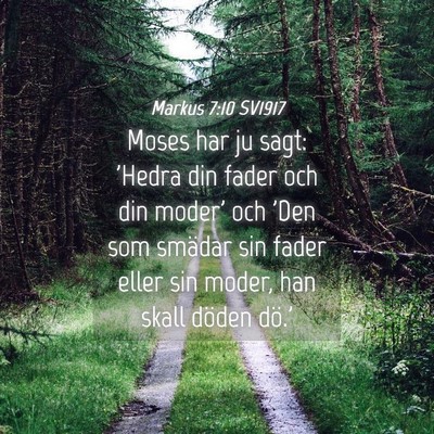 Picture 04 - Markus 7:10 SV1917 - Moses har ju sagt: 'Hedra din fader och din - Bible Verse Picture