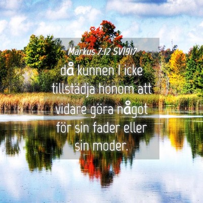 Picture 04 - Markus 7:12 SV1917 - då kunnen I icke tillstädja honom att vidare - Bible Verse Picture