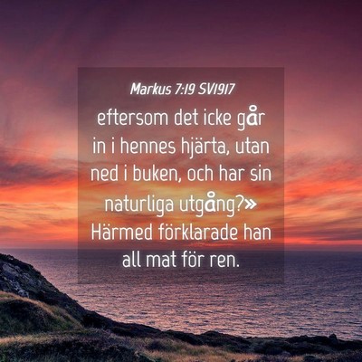 Picture 04 - Markus 7:19 SV1917 - eftersom det icke går in i hennes hjärta, utan - Bible Verse Picture