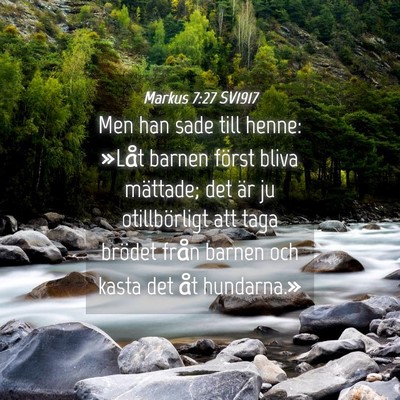 Picture 04 - Markus 7:27 SV1917 - Men han sade till henne: »Låt barnen först - Bible Verse Picture
