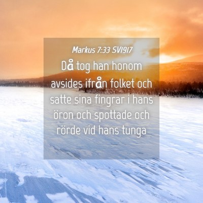 Picture 04 - Markus 7:33 SV1917 - Då tog han honom avsides ifrån folket och satte - Bible Verse Picture