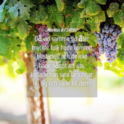 Picture 04 - Markus 8:1 SV1917 - Då vid samma tid åter mycket folk hade kommit - Bible Verse Picture