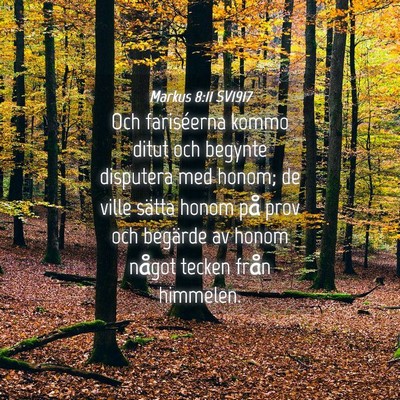 Picture 04 - Markus 8:11 SV1917 - Och fariséerna kommo ditut och begynte disputera - Bible Verse Picture