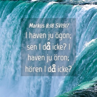 Picture 04 - Markus 8:18 SV1917 - I haven ju ögon; sen I då icke? I haven ju - Bible Verse Picture