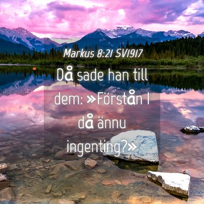 Picture 04 - Markus 8:21 SV1917 - Då sade han till dem: »Förstån I då ännu - Bible Verse Picture
