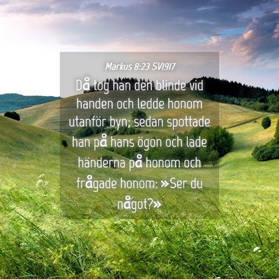 Picture 04 - Markus 8:23 SV1917 - Då tog han den blinde vid handen och ledde honom - Bible Verse Picture