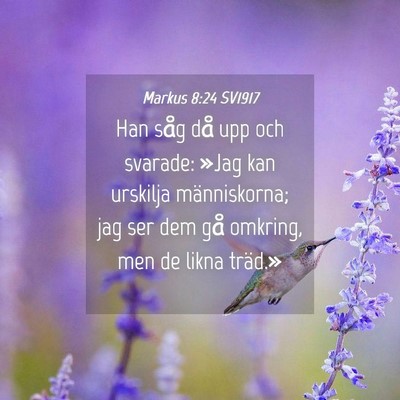 Picture 04 - Markus 8:24 SV1917 - Han såg då upp och svarade: »Jag kan urskilja - Bible Verse Picture