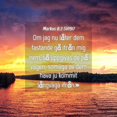 Picture 04 - Markus 8:3 SV1917 - Om jag nu låter dem fastande gå ifrån mig hem, - Bible Verse Picture