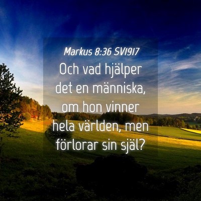 Picture 04 - Markus 8:36 SV1917 - Och vad hjälper det en människa, om hon vinner - Bible Verse Picture