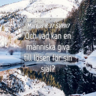 Picture 04 - Markus 8:37 SV1917 - Och vad kan en människa giva till lösen för - Bible Verse Picture