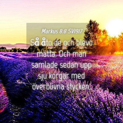 Picture 04 - Markus 8:8 SV1917 - Så åto de och blevo mätta. Och man samlade - Bible Verse Picture