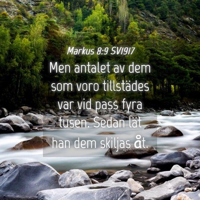 Picture 04 - Markus 8:9 SV1917 - Men antalet av dem som voro tillstädes var vid - Bible Verse Picture