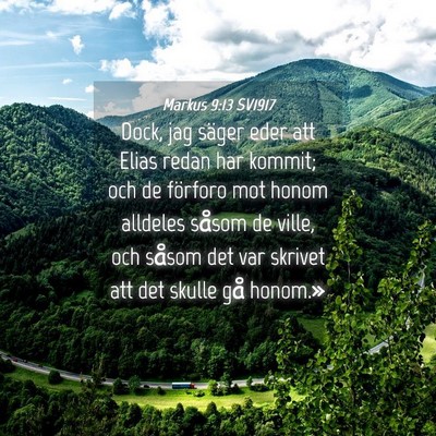 Picture 04 - Markus 9:13 SV1917 - Dock, jag säger eder att Elias redan har kommit; - Bible Verse Picture