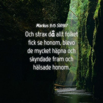 Picture 04 - Markus 9:15 SV1917 - Och strax då allt folket fick se honom, blevo de - Bible Verse Picture