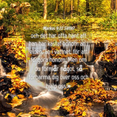 Picture 04 - Markus 9:22 SV1917 - och det har ofta hänt att han har kastat honom - Bible Verse Picture