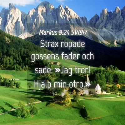 Picture 04 - Markus 9:24 SV1917 - Strax ropade gossens fader och sade: »Jag tror! - Bible Verse Picture