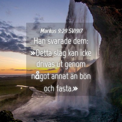 Picture 04 - Markus 9:29 SV1917 - Han svarade dem: »Detta slag kan icke drivas ut - Bible Verse Picture