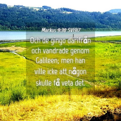 Picture 04 - Markus 9:30 SV1917 - Och de gingo därifrån och vandrade genom - Bible Verse Picture