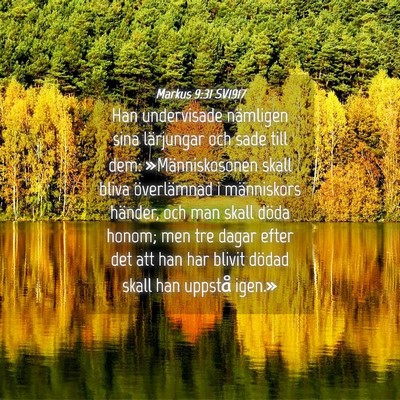 Picture 04 - Markus 9:31 SV1917 - Han undervisade nämligen sina lärjungar och - Bible Verse Picture