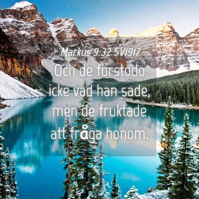 Picture 04 - Markus 9:32 SV1917 - Och de förstodo icke vad han sade, men de - Bible Verse Picture