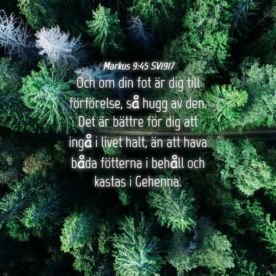 Picture 04 - Markus 9:45 SV1917 - Och om din fot är dig till förförelse, så - Bible Verse Picture