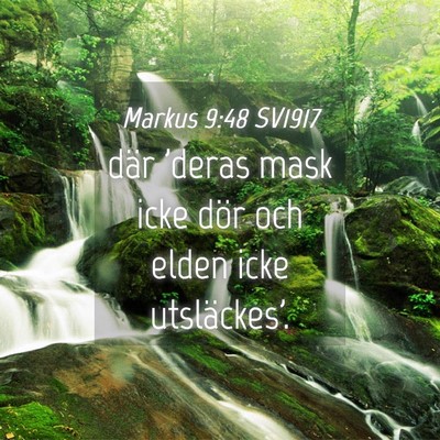 Picture 04 - Markus 9:48 SV1917 - där 'deras mask icke dör och elden icke - Bible Verse Picture