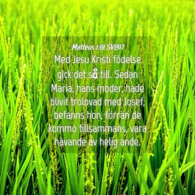 Picture 04 - Matteus 1:18 SV1917 - Med Jesu Kristi födelse gick det så till. Sedan - Bible Verse Picture