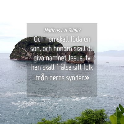 Picture 04 - Matteus 1:21 SV1917 - Och hon skall föda en son, och honom skall du - Bible Verse Picture