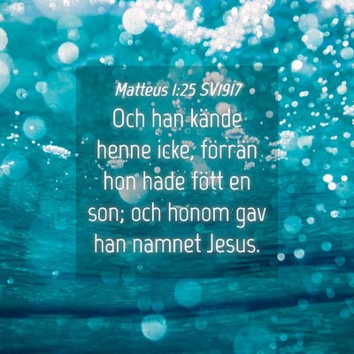 Picture 04 - Matteus 1:25 SV1917 - Och han kände henne icke, förrän hon hade - Bible Verse Picture