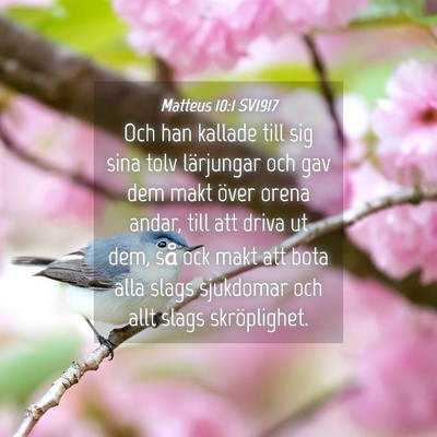 Picture 04 - Matteus 10:1 SV1917 - Och han kallade till sig sina tolv lärjungar och - Bible Verse Picture