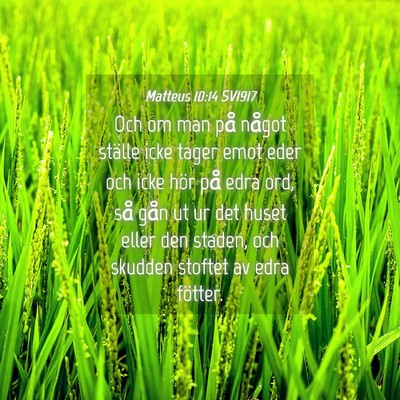 Picture 04 - Matteus 10:14 SV1917 - Och om man på något ställe icke tager emot - Bible Verse Picture