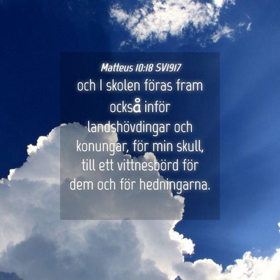 Picture 04 - Matteus 10:18 SV1917 - och I skolen föras fram också inför - Bible Verse Picture