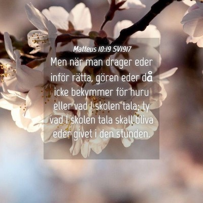 Picture 04 - Matteus 10:19 SV1917 - Men när man drager eder inför rätta, gören - Bible Verse Picture