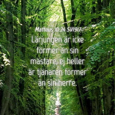Picture 04 - Matteus 10:24 SV1917 - Lärjungen är icke förmer än sin mästare, ej - Bible Verse Picture