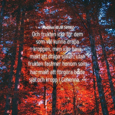 Picture 04 - Matteus 10:28 SV1917 - Och frukten icke för dem som väl kunna dräpa - Bible Verse Picture