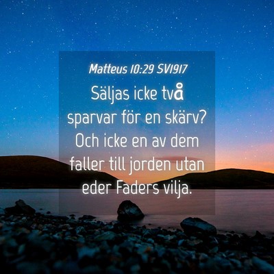 Picture 04 - Matteus 10:29 SV1917 - Säljas icke två sparvar för en skärv? Och - Bible Verse Picture