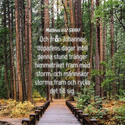 Picture 04 - Matteus 11:12 SV1917 - Och från Johannes döparens dagar intill denna - Bible Verse Picture