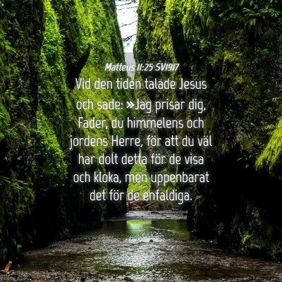 Picture 04 - Matteus 11:25 SV1917 - Vid den tiden talade Jesus och sade: »Jag prisar - Bible Verse Picture