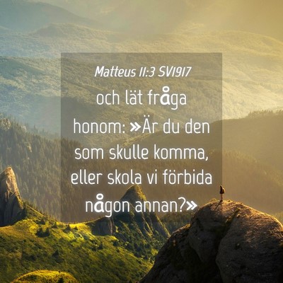 Picture 04 - Matteus 11:3 SV1917 - och lät fråga honom: »Är du den som skulle - Bible Verse Picture