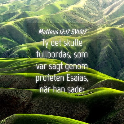 Picture 04 - Matteus 12:17 SV1917 - Ty det skulle fullbordas, som var sagt genom - Bible Verse Picture