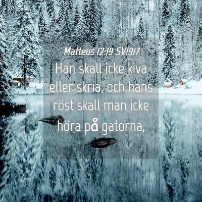Picture 04 - Matteus 12:19 SV1917 - Han skall icke kiva eller skria, och hans röst - Bible Verse Picture