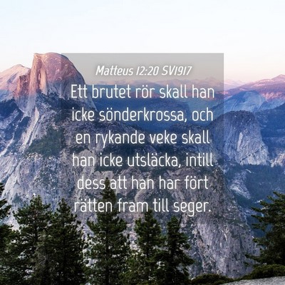 Picture 04 - Matteus 12:20 SV1917 - Ett brutet rör skall han icke sönderkrossa, och - Bible Verse Picture