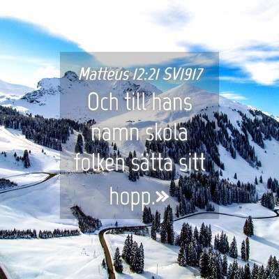 Picture 04 - Matteus 12:21 SV1917 - Och till hans namn skola folken sätta sitt - Bible Verse Picture