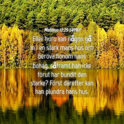 Picture 04 - Matteus 12:29 SV1917 - Eller huru kan någon gå in i en stark mans hus - Bible Verse Picture