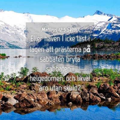 Picture 04 - Matteus 12:5 SV1917 - Eller haven I icke läst i lagen att prästerna - Bible Verse Picture