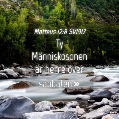 Picture 04 - Matteus 12:8 SV1917 - Ty Människosonen är herre över - Bible Verse Picture