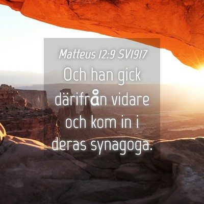 Picture 04 - Matteus 12:9 SV1917 - Och han gick därifrån vidare och kom in i deras - Bible Verse Picture
