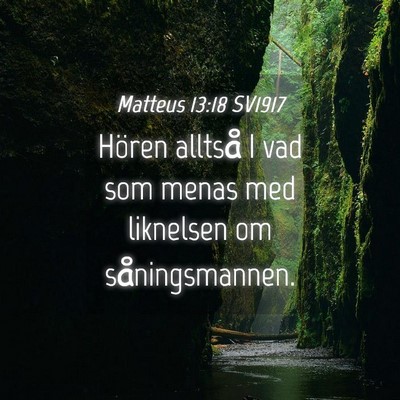 Picture 04 - Matteus 13:18 SV1917 - Hören alltså I vad som menas med liknelsen om - Bible Verse Picture