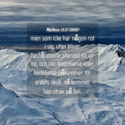 Picture 04 - Matteus 13:21 SV1917 - men som icke har någon rot i sig, utan bliver - Bible Verse Picture